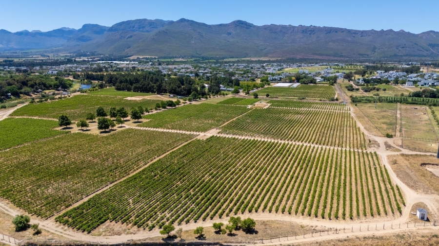 0 Bedroom Property for Sale in Val De Vie Estate Western Cape